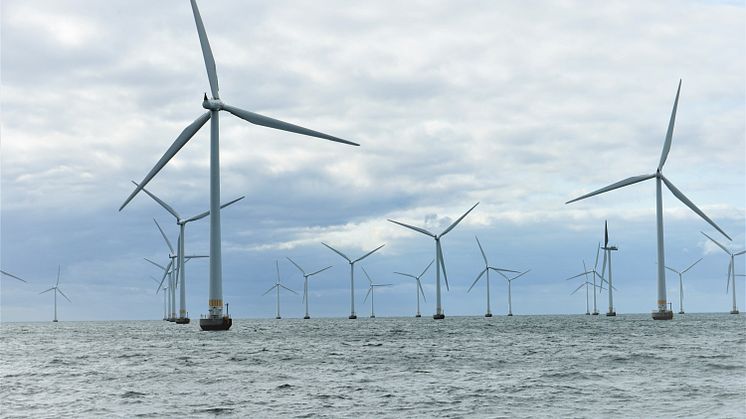 När Lillgrunds vindkraftspark togs i drift i december 2007 var det världens tredje största vindkraftspark. De 48 vindkraftverken har en effekt på 2,3 MW vardera. Foto: Fredrik T Lindgren/HaV