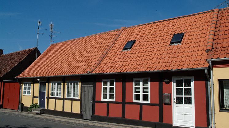 Dantegl_Danmarks_Nationaltag_03