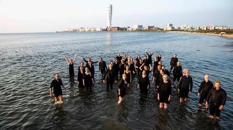petrisanfareKristina Strand Larsson.jpg