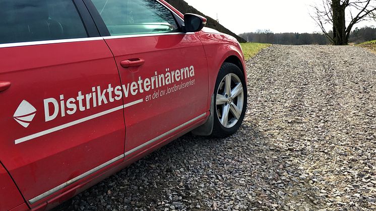 Distriktsveterinärerna löser helgberedskapen i Dingle