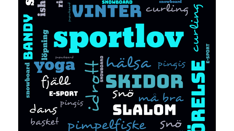 Sportlovsprogram 2020