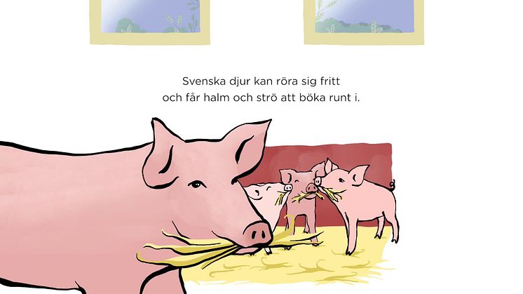Världens mest omfattande djurskyddslag