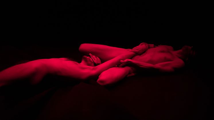 Dark Field Analysis / Jefta van Dinther