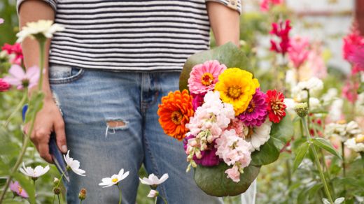 Pressvisning av Slow Flowers på Sofiero