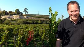 Vinovativa lanserar tre moderna Bordeauxviner signerade Thunevin 