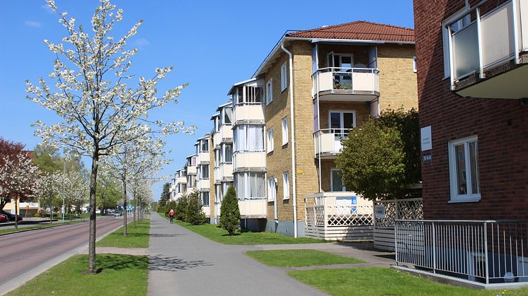 Sveavägen med kv Lyckan och kv Högaloft är två av Finnvedsbostäders bostadsområden. 