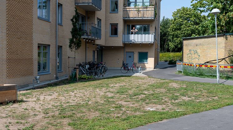 DSC_5248