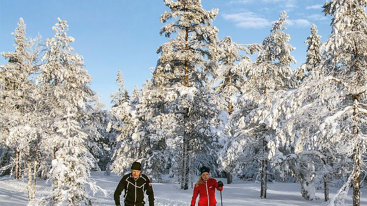 Skiturer i Oslomarka
