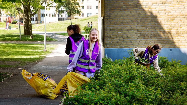 Ett rent Rosengård