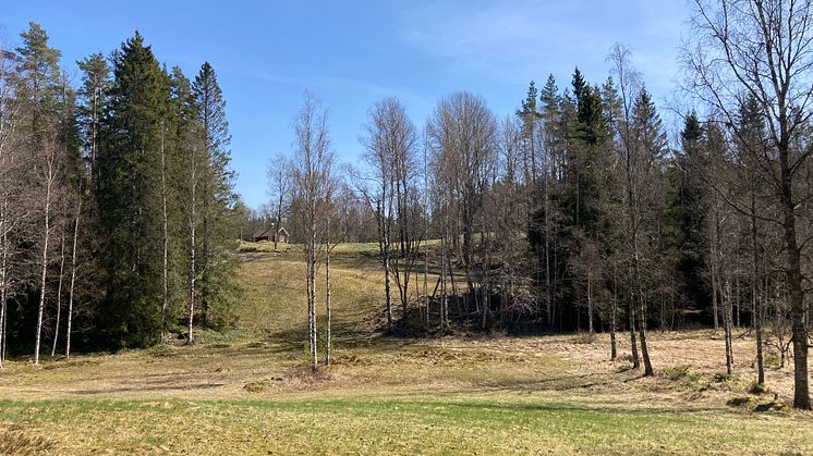 Hyttebacken 1 Foto Örebro kommun.png