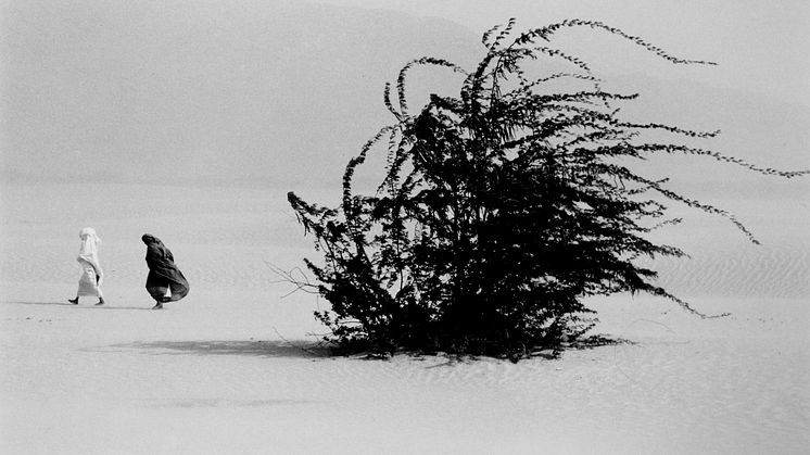 WITH CONCERN - SEBASTIÃO SALGADO