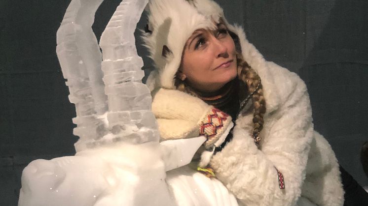 Carina Henriksson, GlesbygdsDivan