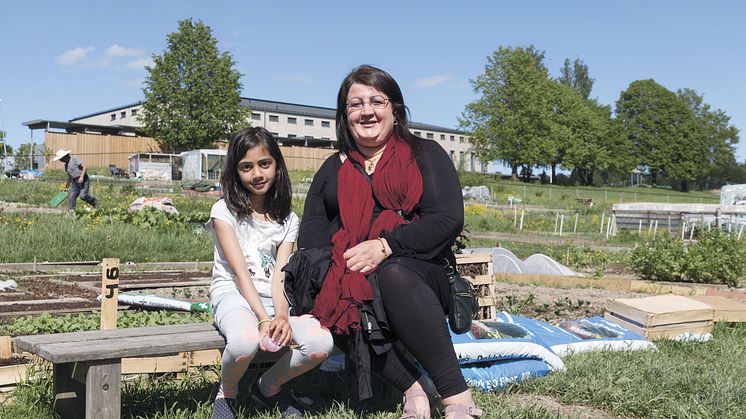 Besøker parsellhagen hver uke
