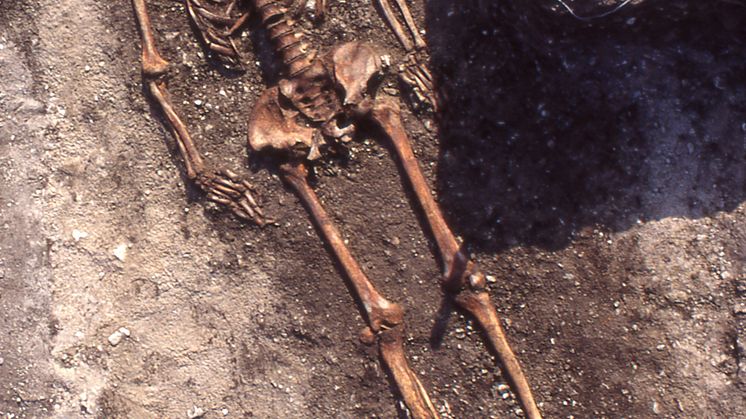 A typical Pitted Ware grave