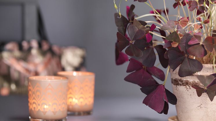 TREND 2015 från Caparol - Creative Mood