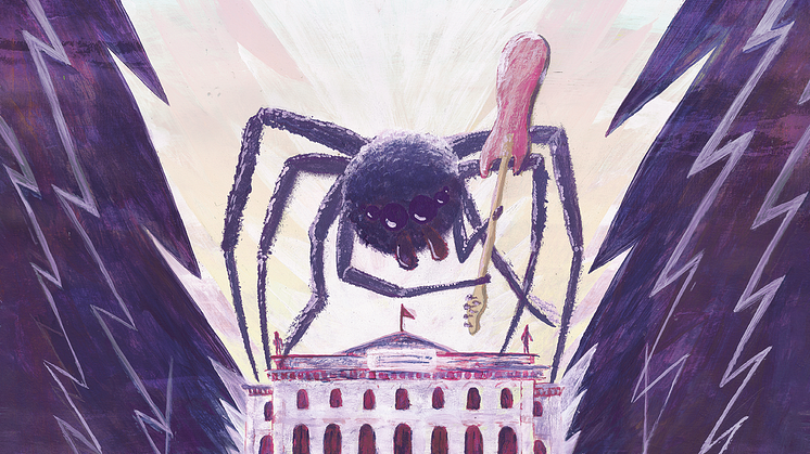 Spiders