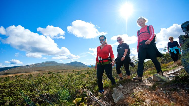 SkiStar Trysil: Rekorddeltakelse i Trysilrypa