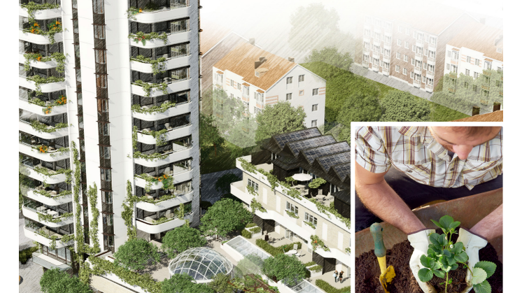 Allt du behöver veta om Greenhouse
