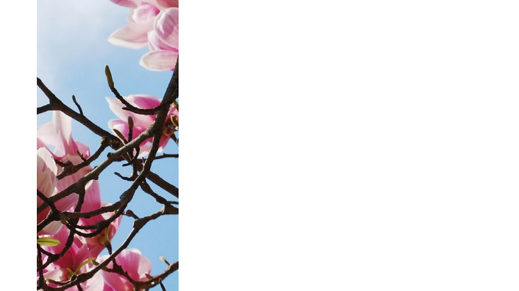 Deloitte/SEB CFO Survey - spring 2014