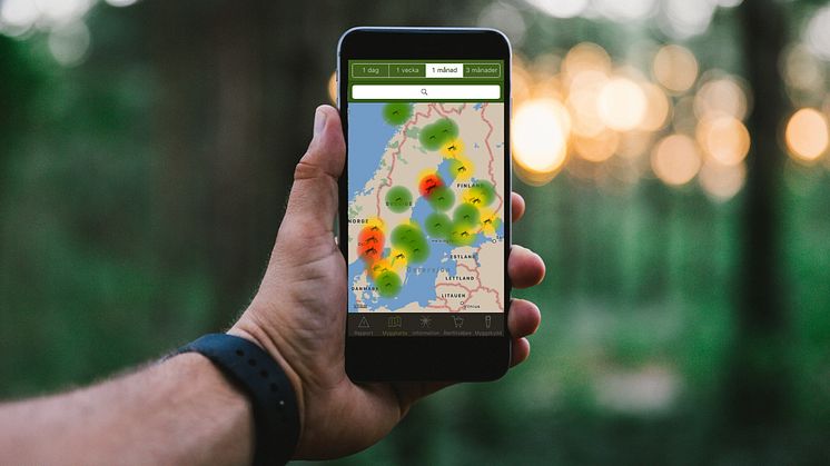 Myggrapporten är appen som håller koll på myggen i sommar