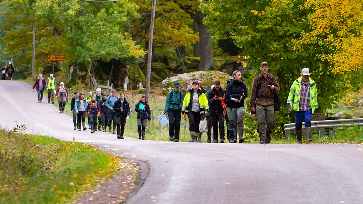 Ett 40-tal biologer och artexperter undersökte naturvärden vid Spellinge som en del i Callunas kalibrering av metoden naturvärdesinventering. Foto: Frida Nettelbladt. 
