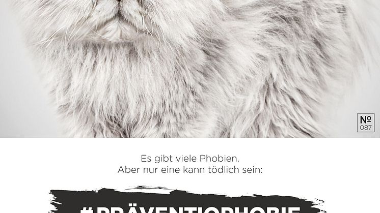 FBS_Präventiophobie_Haare