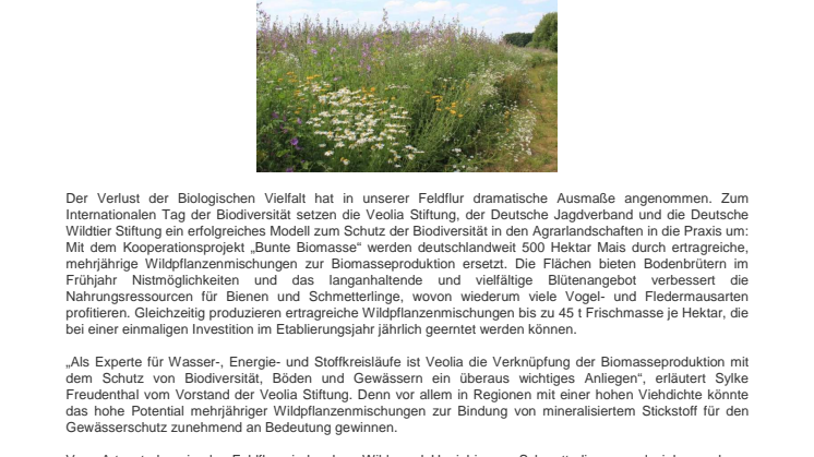 190521_PI_BunteBiomasse