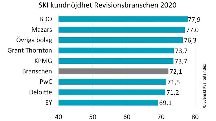 Revisionsbranschen 2020.jpg
