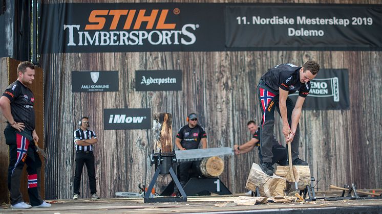 Det norske landslaget er underdog i årets VM. 