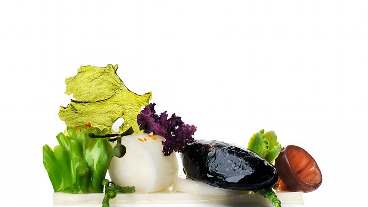 Sallad med blåmussla, vit sparris, broccoli och havsblad