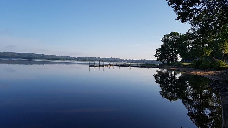 Många härliga naturupplevelser tidiga morgnar vid sjön. Foto: Anna Mellberg