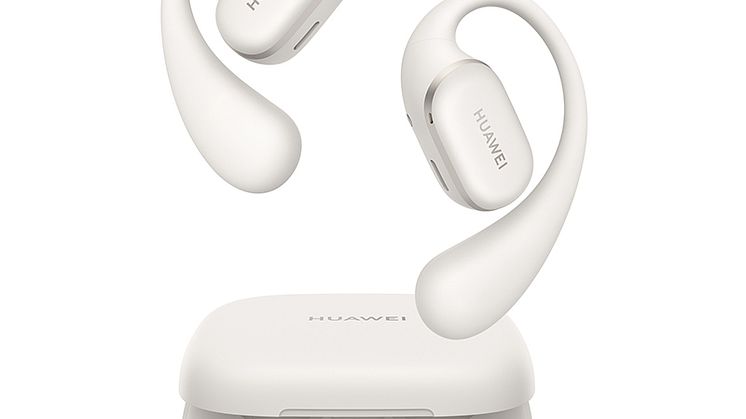 HUAWEI FreeArc_Moose_HQ_Grey_15_JPG_800_20241224.jpg