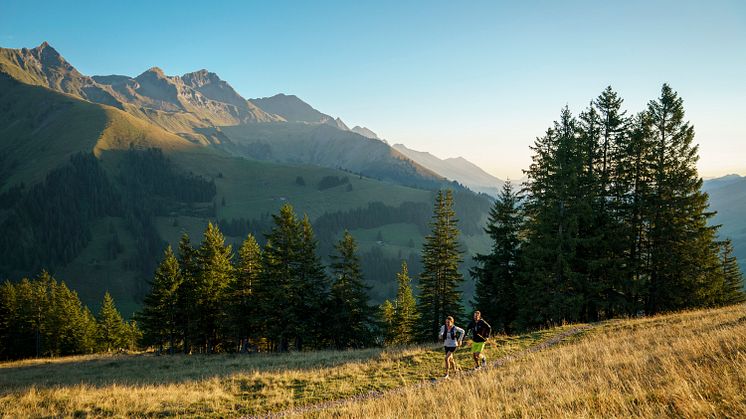 ©Tourismus Adelboden-Lenk-Kandersteg
