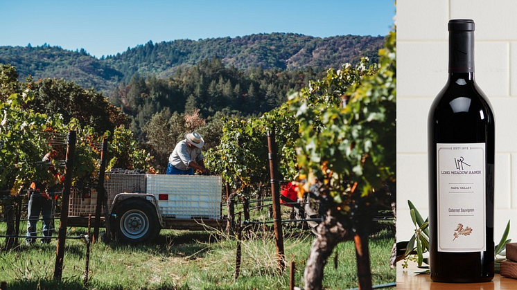 Long Meadow Ranch Napa Valley Cabernet Sauvignon 2018 i tillfällig lansering