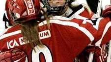 Sh bygg räddar damhockeyn