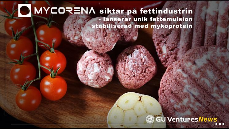 Mycorena siktar på fettindustrin - lanserar unik fettemulsion stabiliserad med mykoprotein