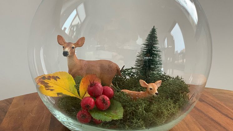 DIY_Mooslandschaft