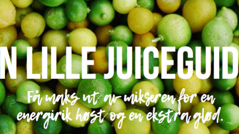 Den lille juiceguiden 