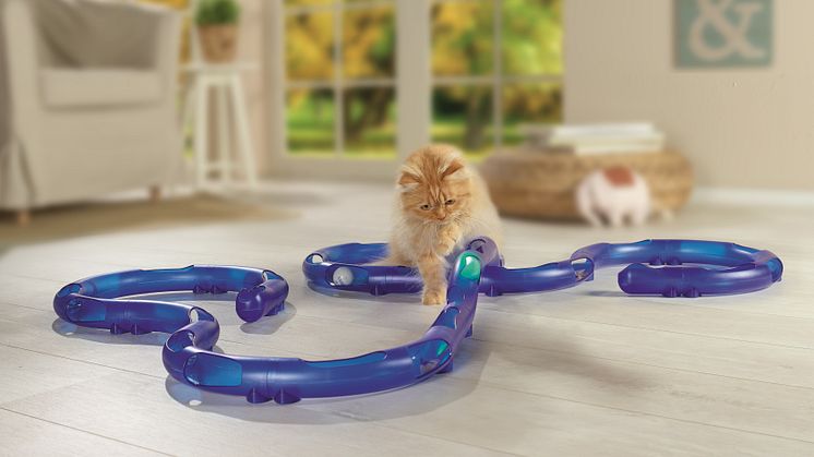Maxi Zoo_AniOne_parcours_Circle