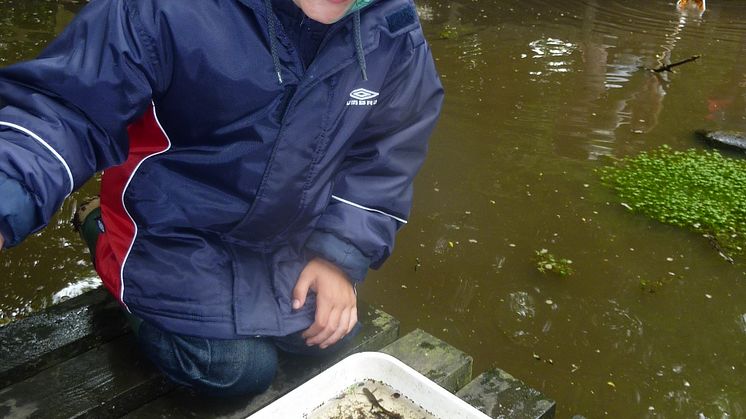 Friends of Chesham Local Nature Reserve’s Open Day is a huge success