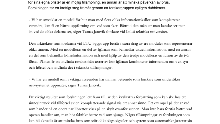 Mänskliga hjärnor efterliknas i datorvärlden