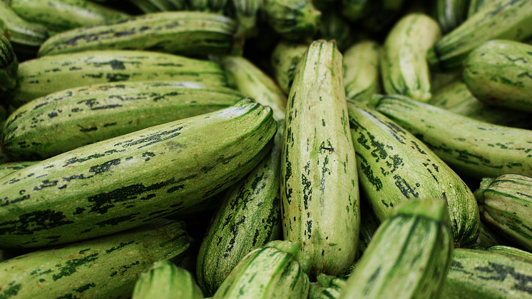 zucchini.jpeg..png