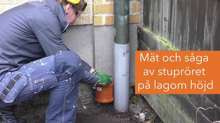 Så här kapar du stupröret för att ta hand om regnvattnet i trädgården