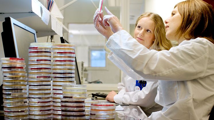 Fusobacterium necrophorum – inte bara Lemièrres syndrom utan även halsfluss?