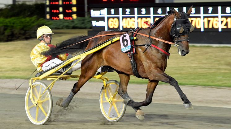 Bahia Quesnot klar för Elitloppet 2021