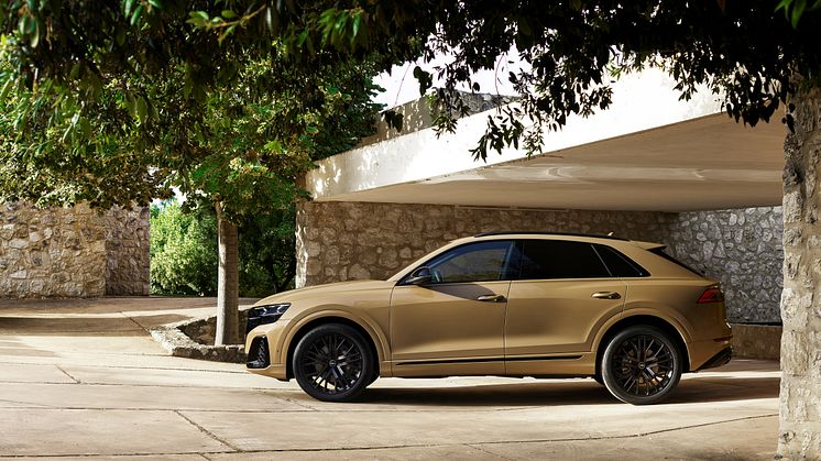 Audi Q8 (Sakhirguld)