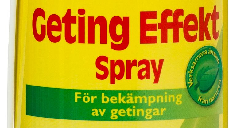 31664-getingeffektspray_dummy
