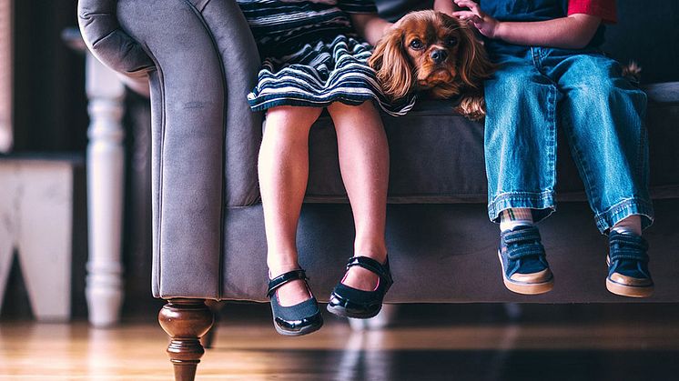 En god inomhusmiljö är viktigt för alla i familjen.    Foto: pixabay.com