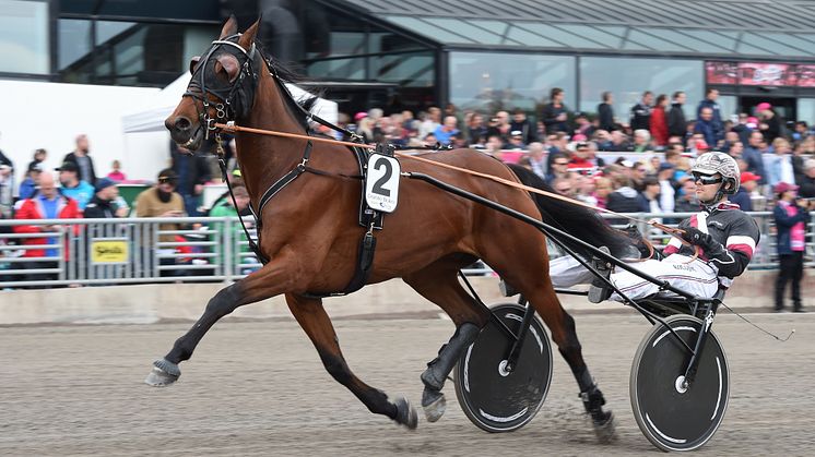 Sweden Cup-vinnaren till Elitloppet Benders