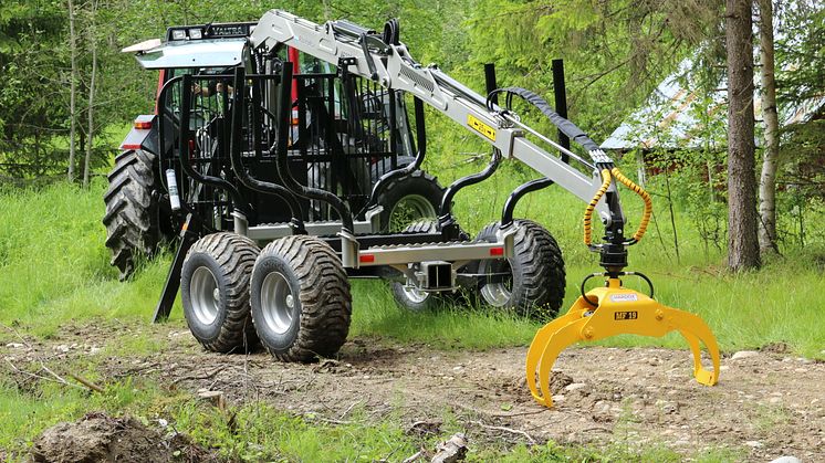Trejon Multiforest New Edition